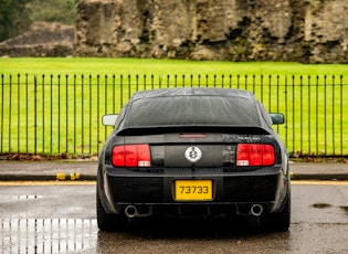 2007 FORD MUSTANG - SHELBY GT500 SUPER SNAKE RECREATION