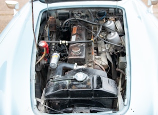 1964 AUSTIN HEALEY 3000 MK3 (BJ8)