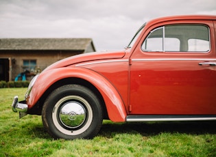 1959 VOLKSWAGEN BEETLE 