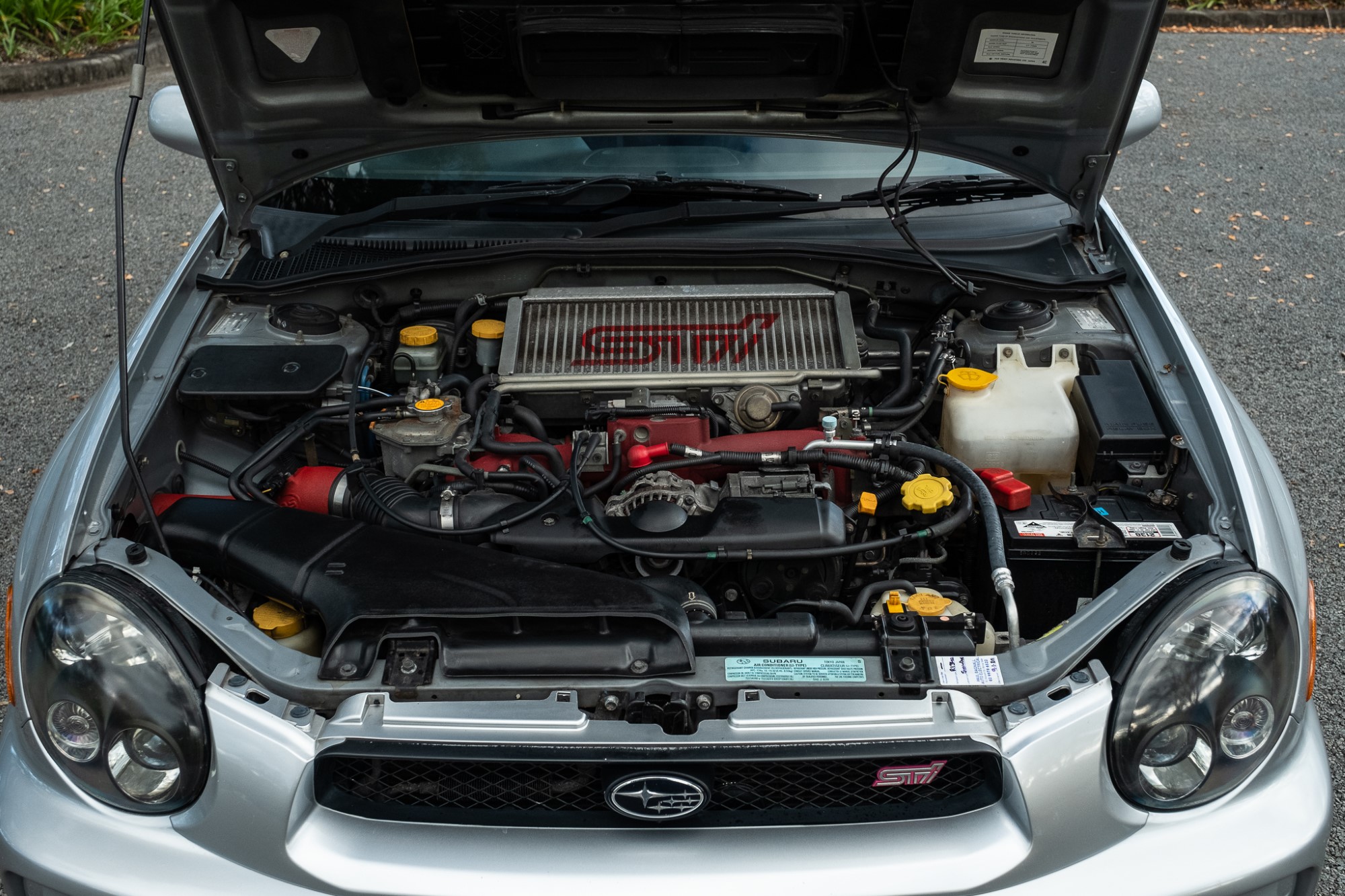 Front Splitter - Subaru Impreza 2000-2002, image size:1263x842