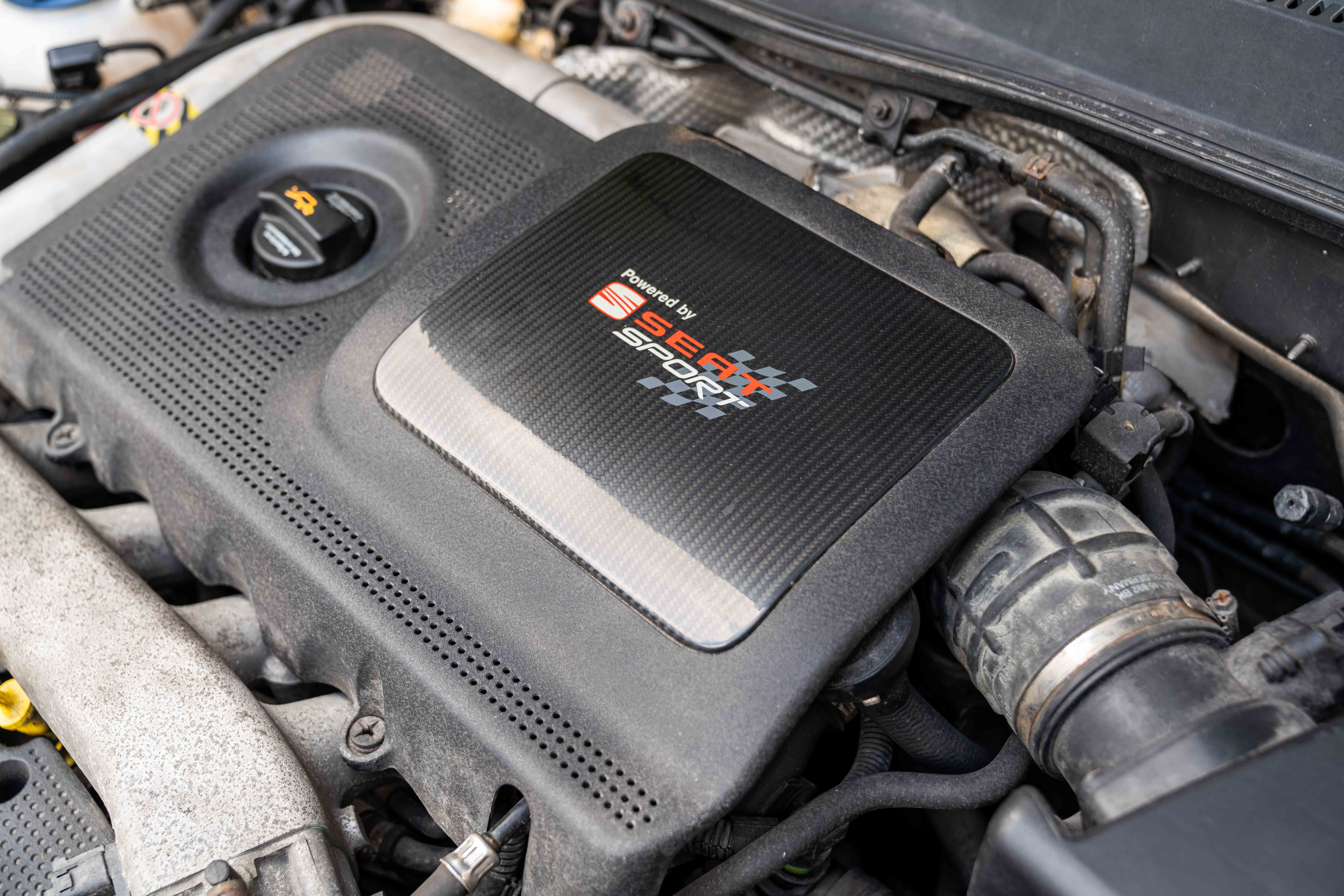 Top forza seat leon Shop UrbanRebel s virtual racing in Forza Horizon 5  CUPRA, image size:1263x842