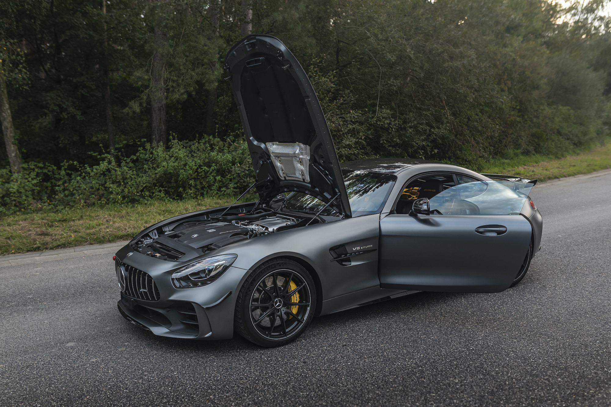 2018 MERCEDES-AMG GT R for sale in Viersen, Germany