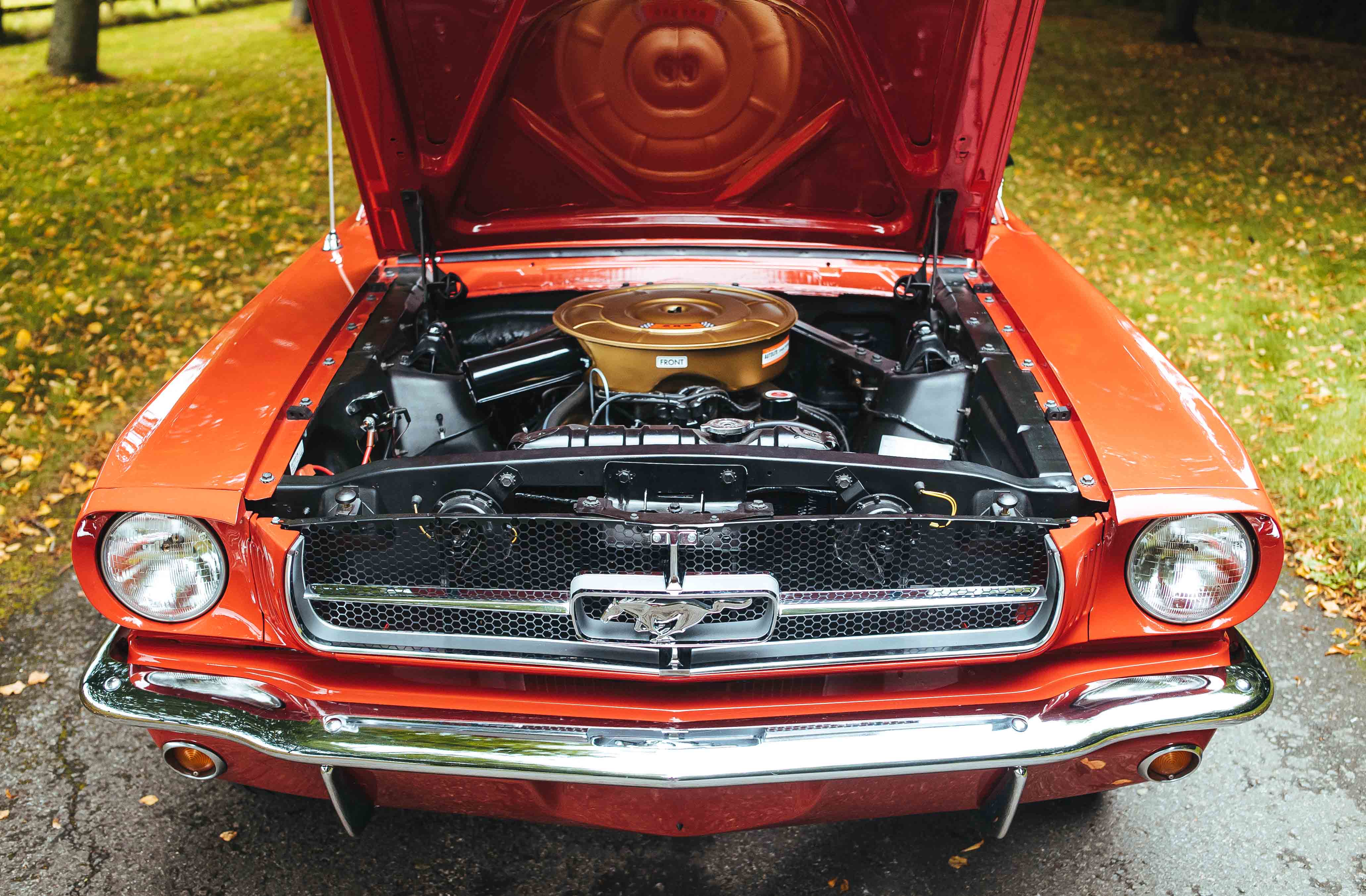 1965 FORD MUSTANG FASTBACK for sale in St Albans, Hertfordshire, United  Kingdom, image size:1263x829