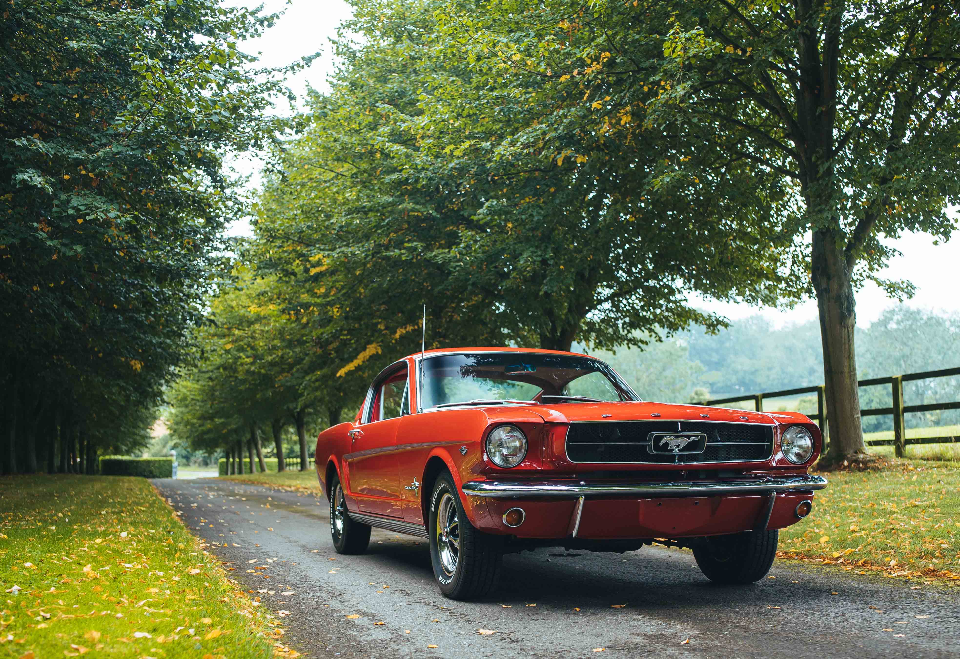 1965 FORD MUSTANG FASTBACK for sale in St Albans, Hertfordshire, United  Kingdom, image size:1263x867