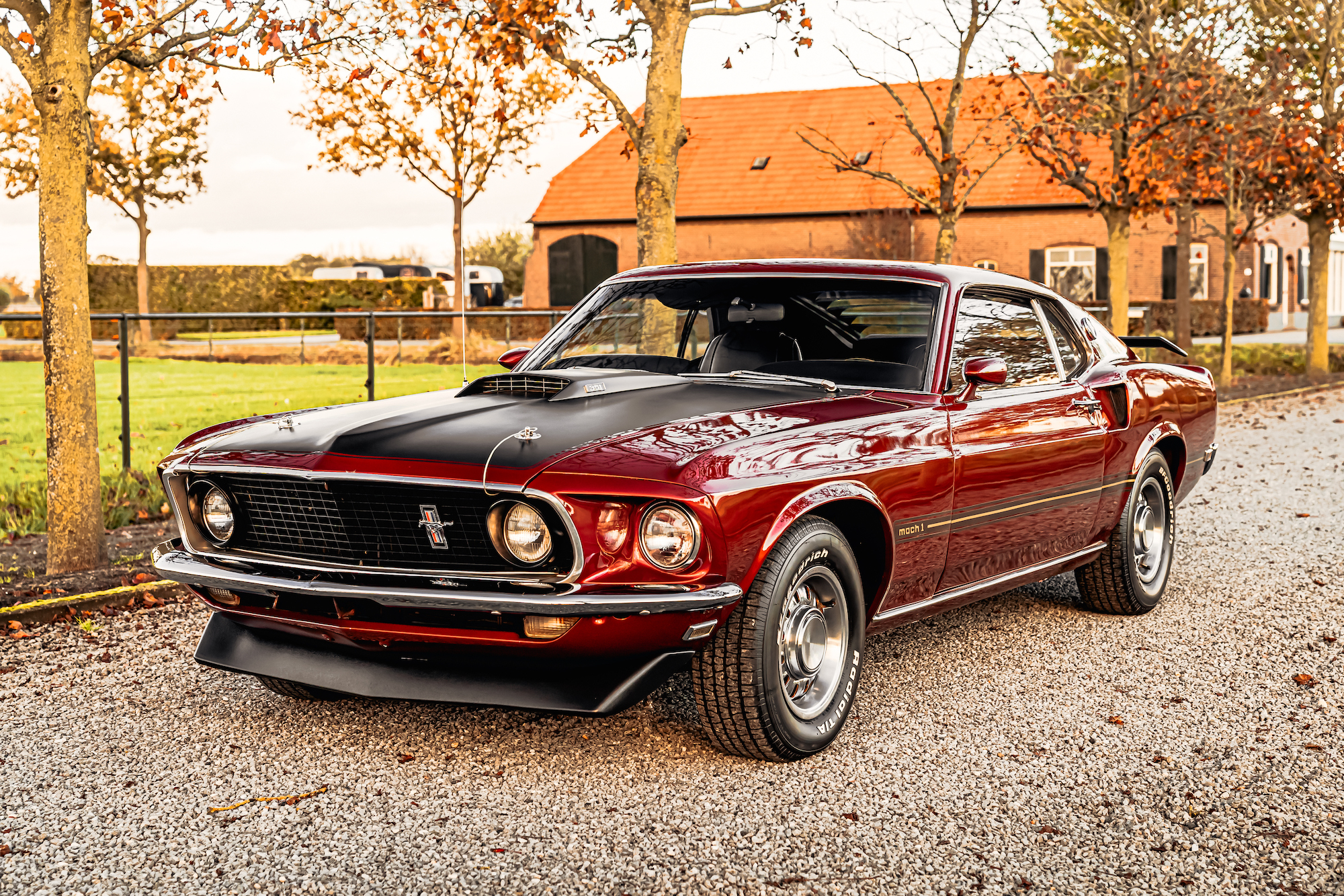 1969 FORD MUSTANG MACH 1 for sale by auction in Beek en Donk, Brabant,  Netherlands, image size:1263x842