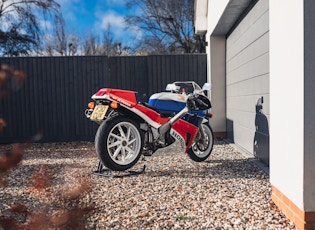 1989 HONDA VFR-750R RC30 - 2,529 MILES