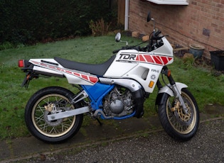 1989 YAMAHA TDR250 