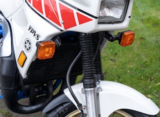 1989 YAMAHA TDR250 