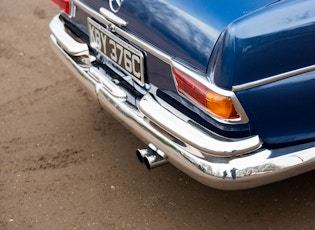 1965 MERCEDES-BENZ (W111) 250 SE