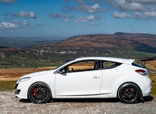 2010 RENAULT MEGANE RS 250 CUP