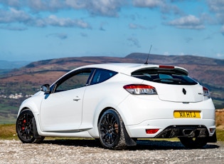 2010 RENAULT MEGANE RS 250 CUP