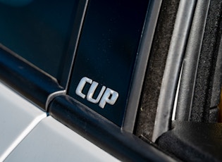 2010 RENAULT MEGANE RS 250 CUP