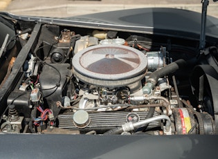 1981 CHEVROLET CORVETTE STINGRAY COUPE (C3)