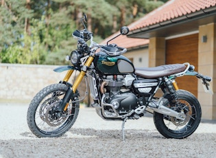 2021 TRIUMPH SCRAMBLER 1200 - STEVE MCQUEEN - 19 MILES