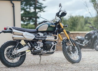 2021 TRIUMPH SCRAMBLER 1200 - STEVE MCQUEEN - 19 MILES