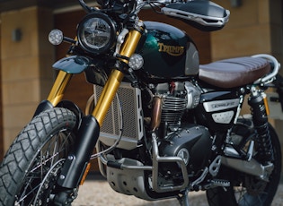 2021 TRIUMPH SCRAMBLER 1200 - STEVE MCQUEEN - 19 MILES