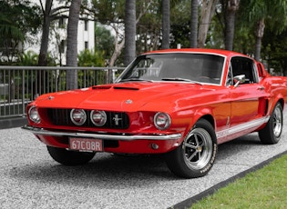 1967 FORD MUSTANG FASTBACK - SHELBY GT500 TRIBUTE 