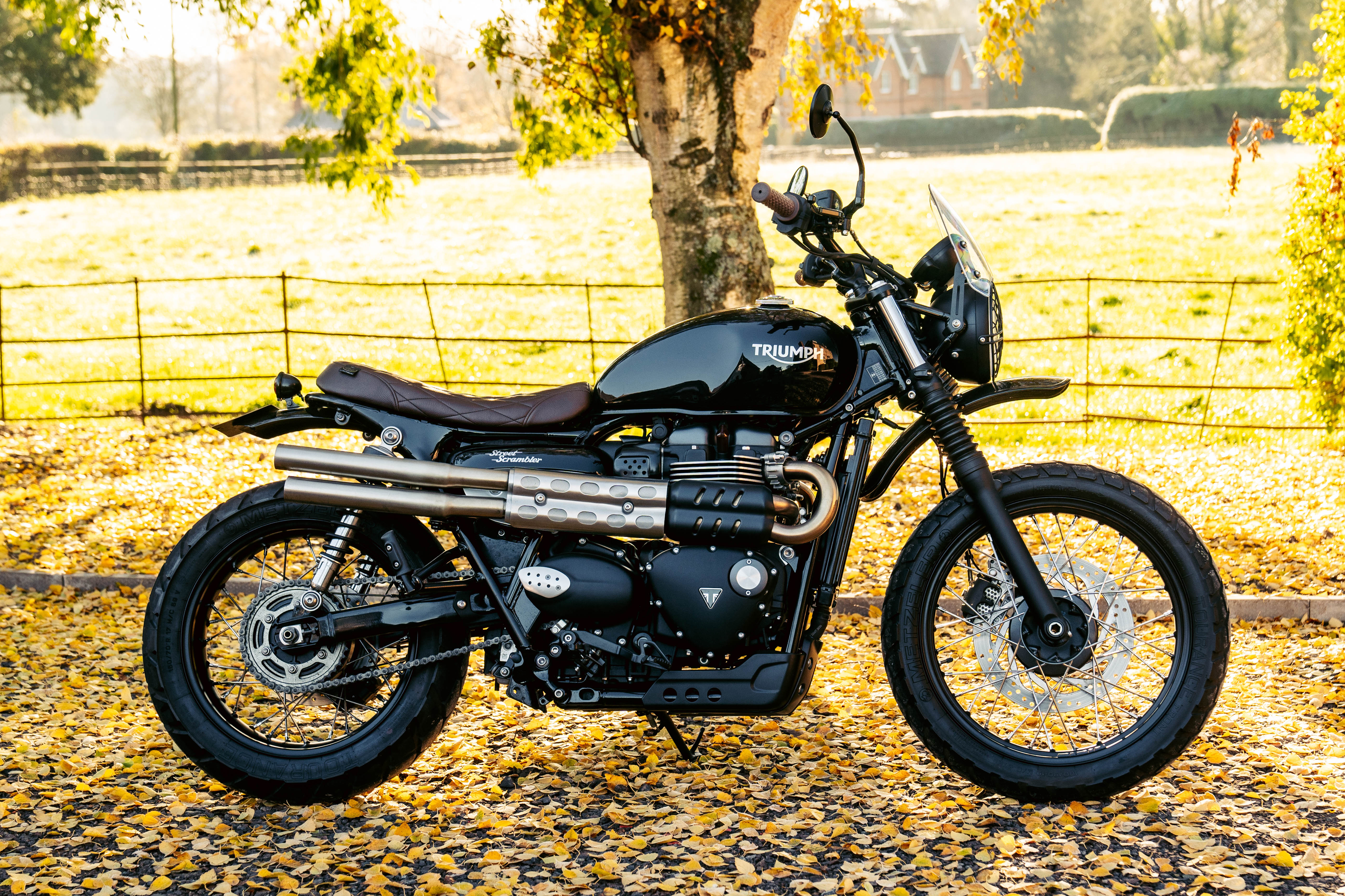 2019 triumph street store scrambler for sale