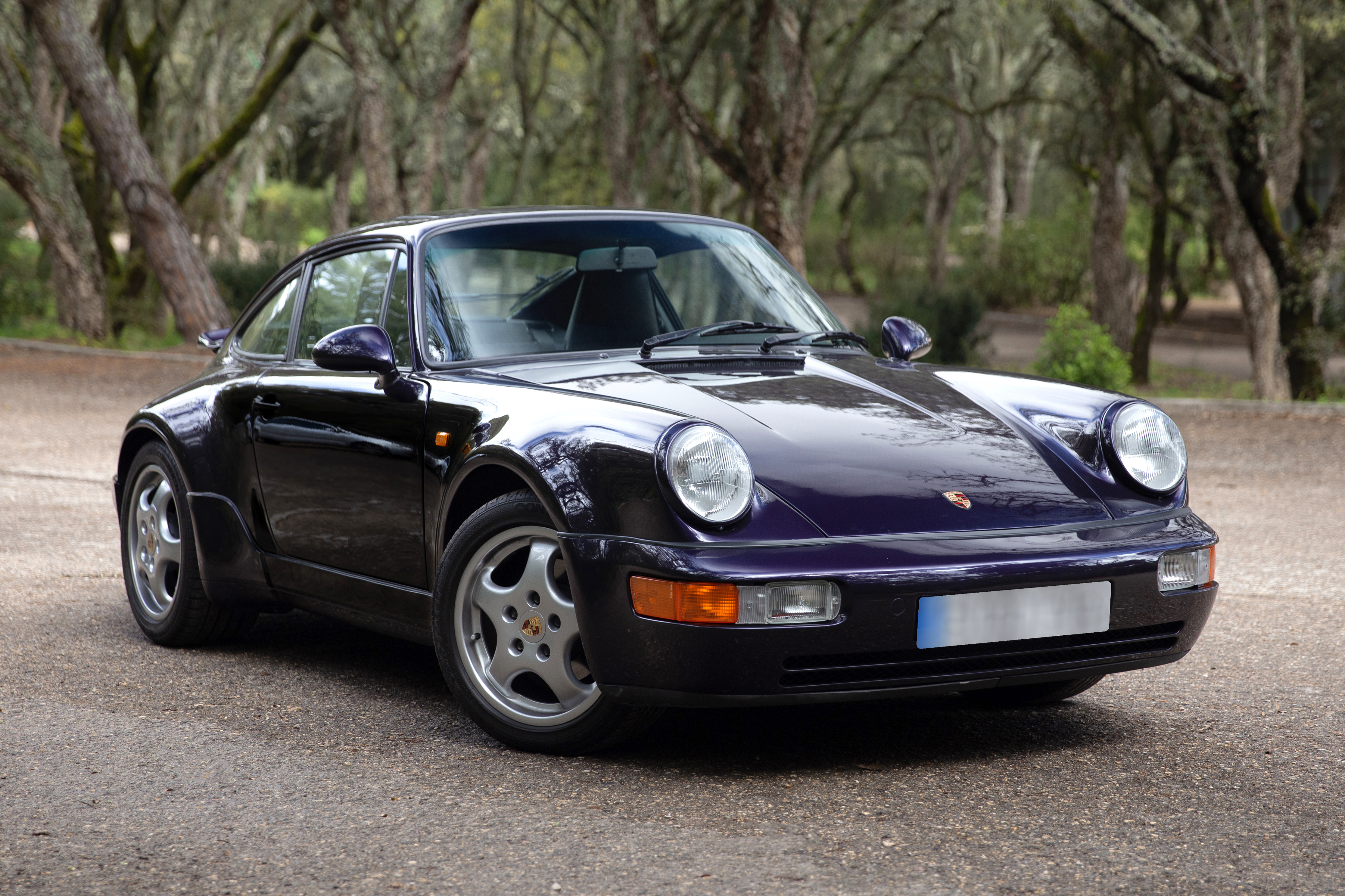 1993 PORSCHE 911 (964) CARRERA 4 '30 JAHRE' for sale by auction in 