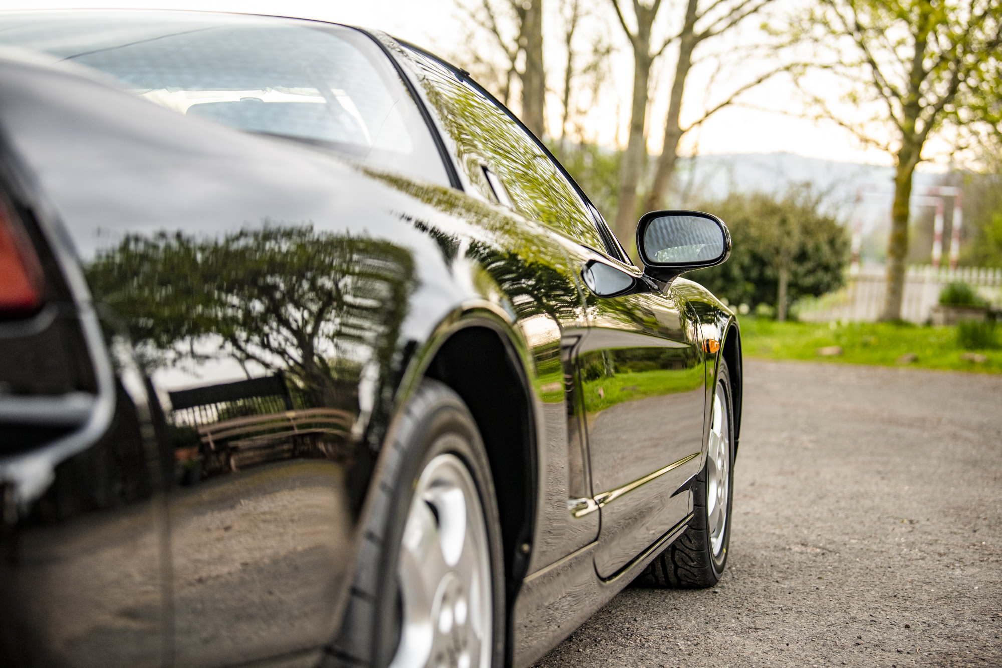 プレスリ Exploring Smad5: a review to pave the way for a deeper