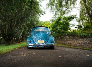 1956 VOLKSWAGEN BEETLE 1200 ‘OVAL WINDOW’