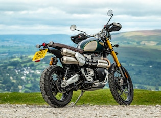 2021 TRIUMPH SCRAMBLER 1200 - STEVE MCQUEEN