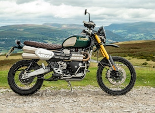 2021 TRIUMPH SCRAMBLER 1200 - STEVE MCQUEEN