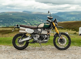 2021 TRIUMPH SCRAMBLER 1200 - STEVE MCQUEEN