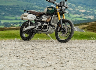 2021 TRIUMPH SCRAMBLER 1200 - STEVE MCQUEEN