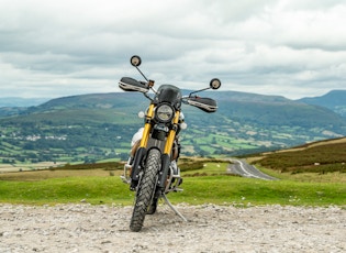 2021 TRIUMPH SCRAMBLER 1200 - STEVE MCQUEEN