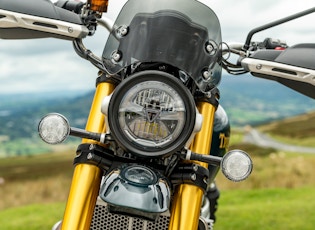 2021 TRIUMPH SCRAMBLER 1200 - STEVE MCQUEEN