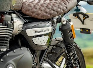 2021 TRIUMPH SCRAMBLER 1200 - STEVE MCQUEEN