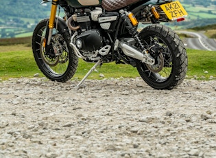 2021 TRIUMPH SCRAMBLER 1200 - STEVE MCQUEEN