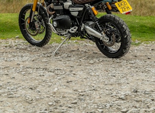 2021 TRIUMPH SCRAMBLER 1200 - STEVE MCQUEEN