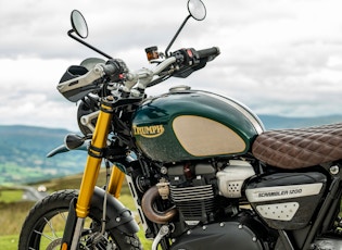 2021 TRIUMPH SCRAMBLER 1200 - STEVE MCQUEEN