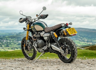 2021 TRIUMPH SCRAMBLER 1200 - STEVE MCQUEEN