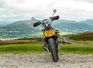 2021 TRIUMPH SCRAMBLER 1200 - STEVE MCQUEEN