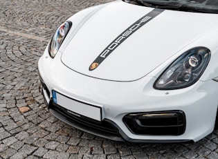 2015 PORSCHE (981) BOXSTER GTS