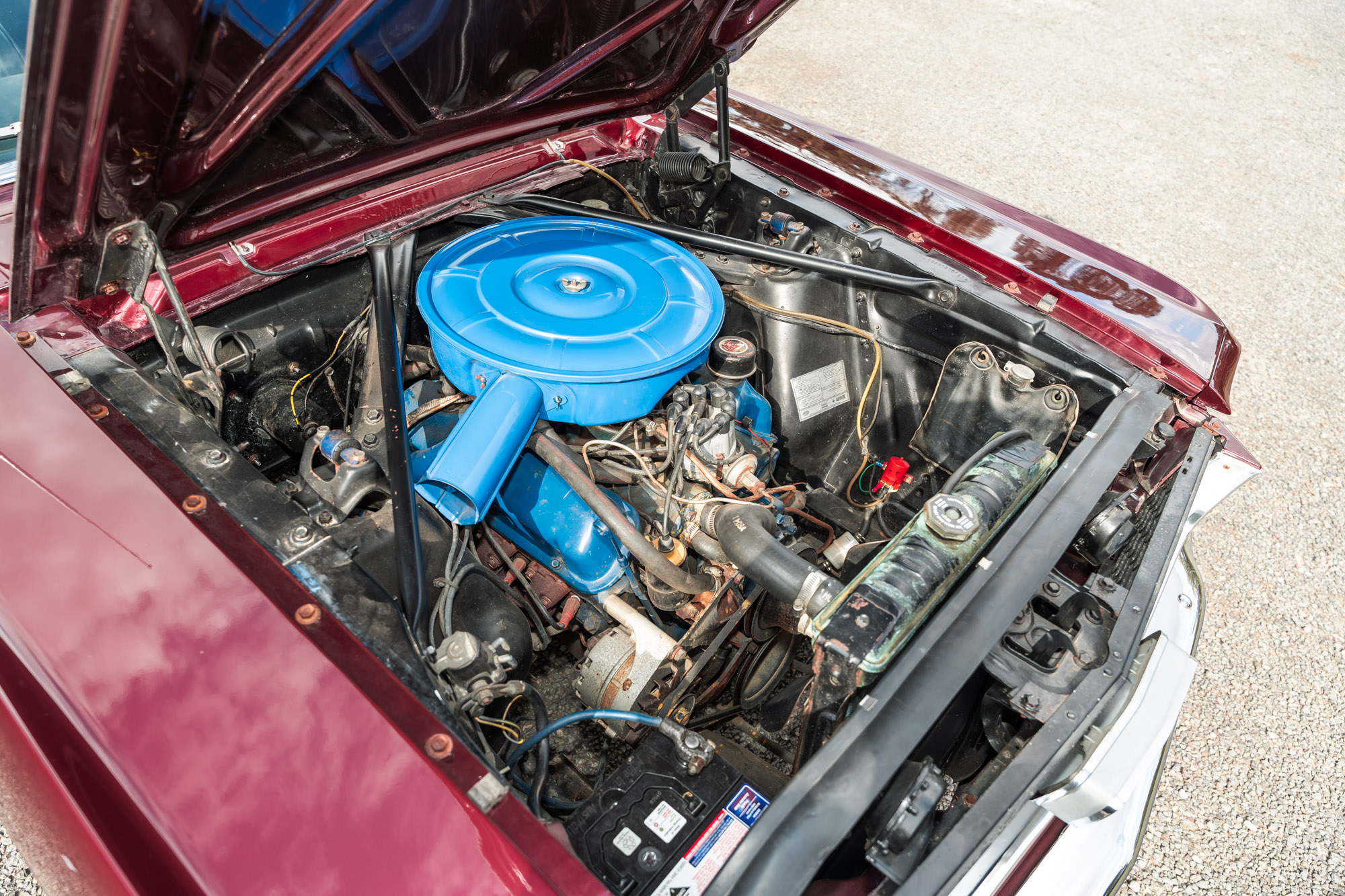 【ピンク】ワ ンデル 8本 885507_01.jpg.jpeg?width=750