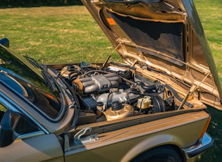 1981 BMW (E21) 323i