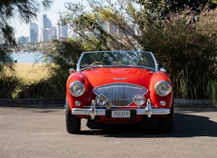 1954 Austin Healey 100/4