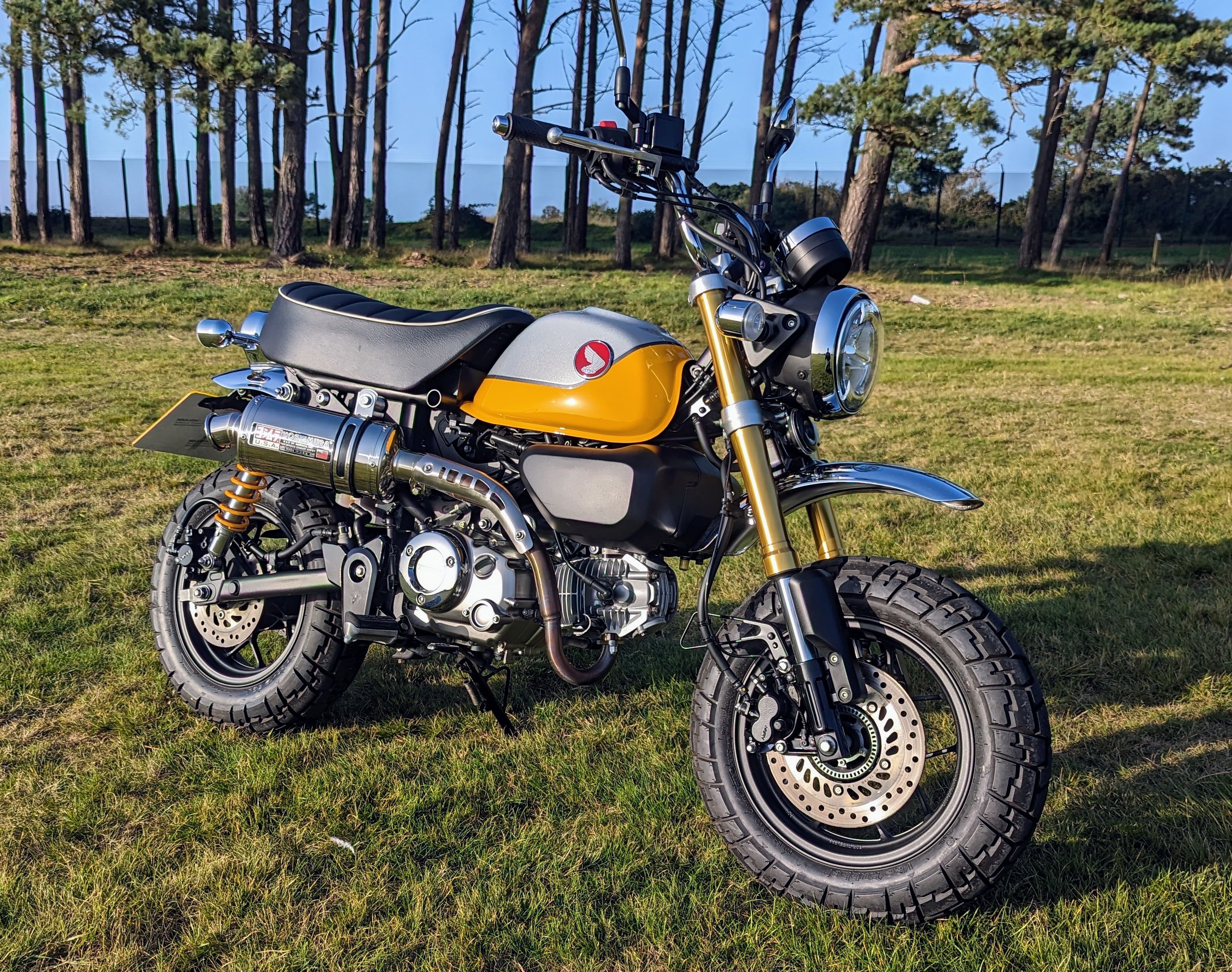 2021 honda store monkey for sale