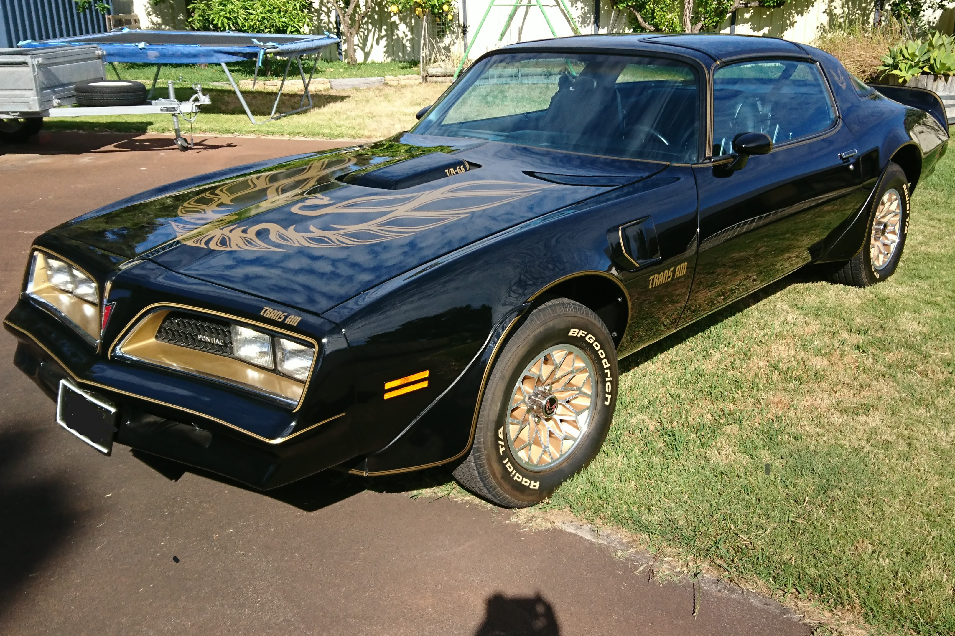 1977 Pontiac Trans Am (Y82) Special Edition for sale by classified