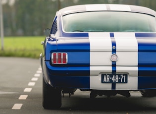 1965 Ford Mustang Fastback - GT350R Tribute 