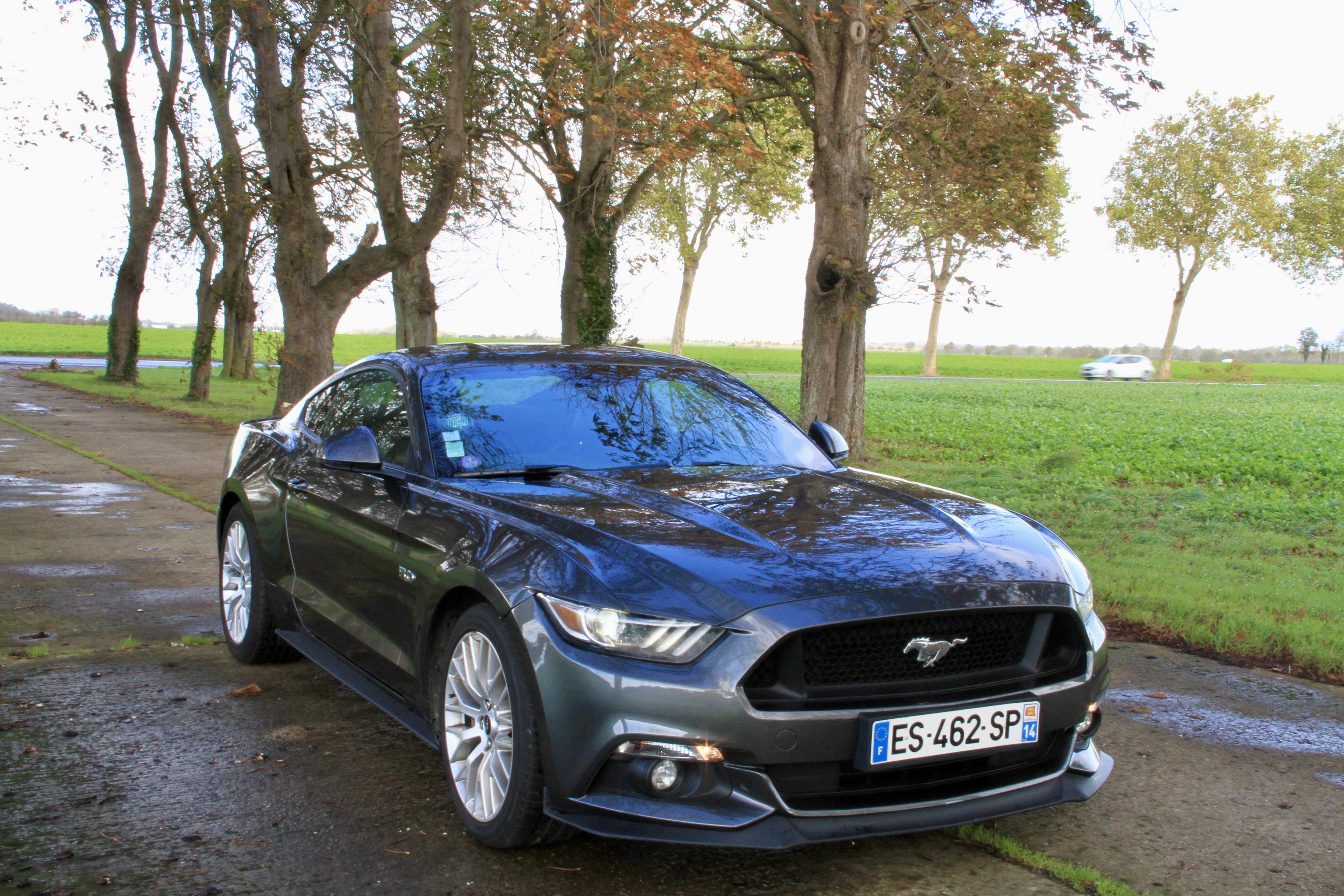 2017 Ford Mustang GT – VAT Q for sale by auction in Caen, France, image size:2000x1333