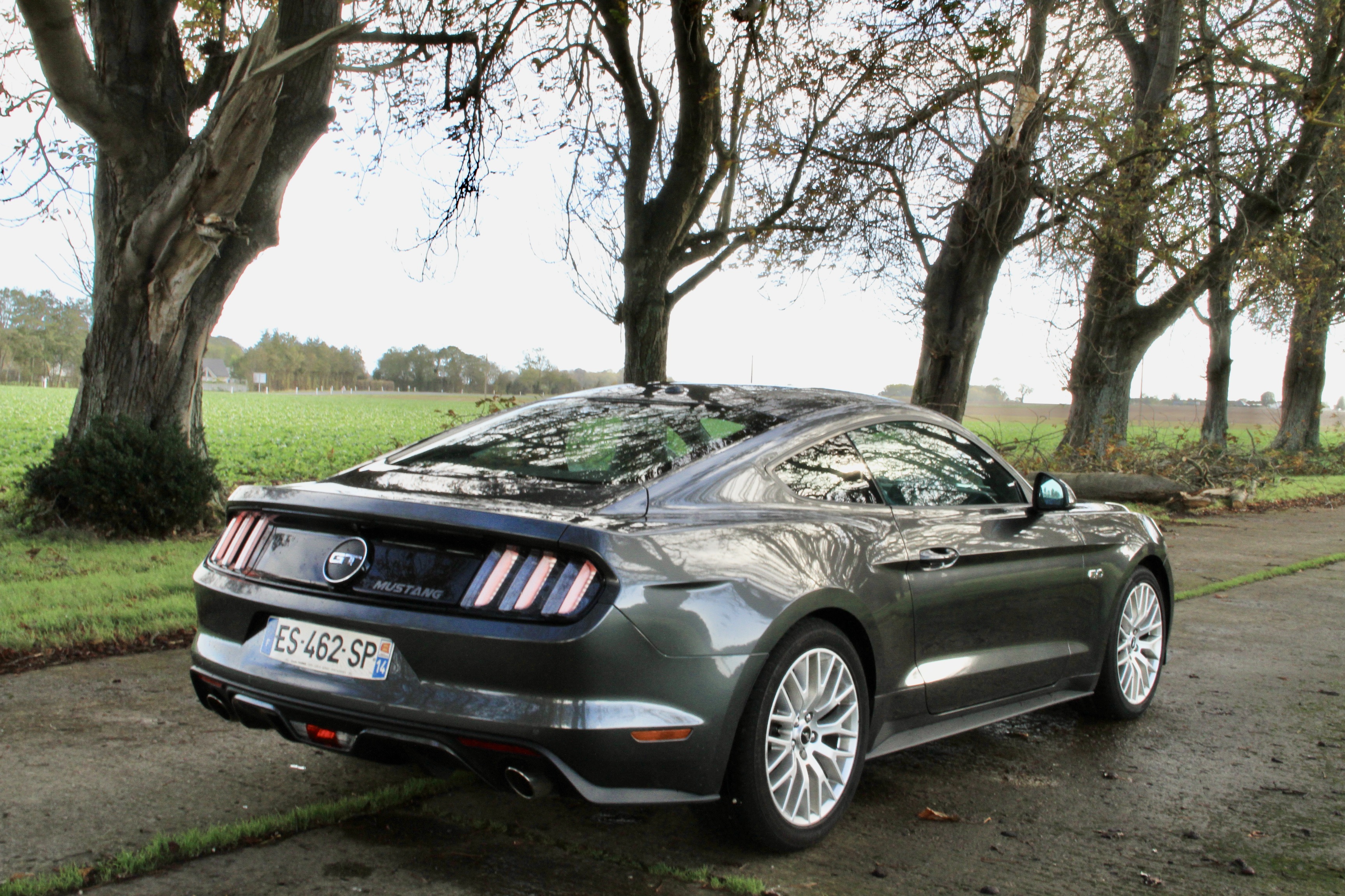 2026 Ford Mustang® | Pricing, Photos, Specs \u0026 More | Ford.com, image size:1263x842