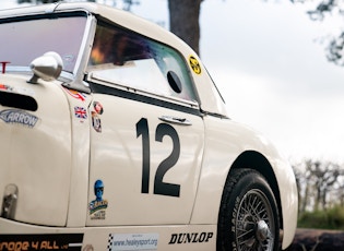 1959 Austin-Healey Speedwell Sprite GT