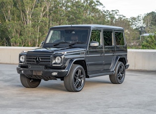 2013 Mercedes-Benz (W463) G500