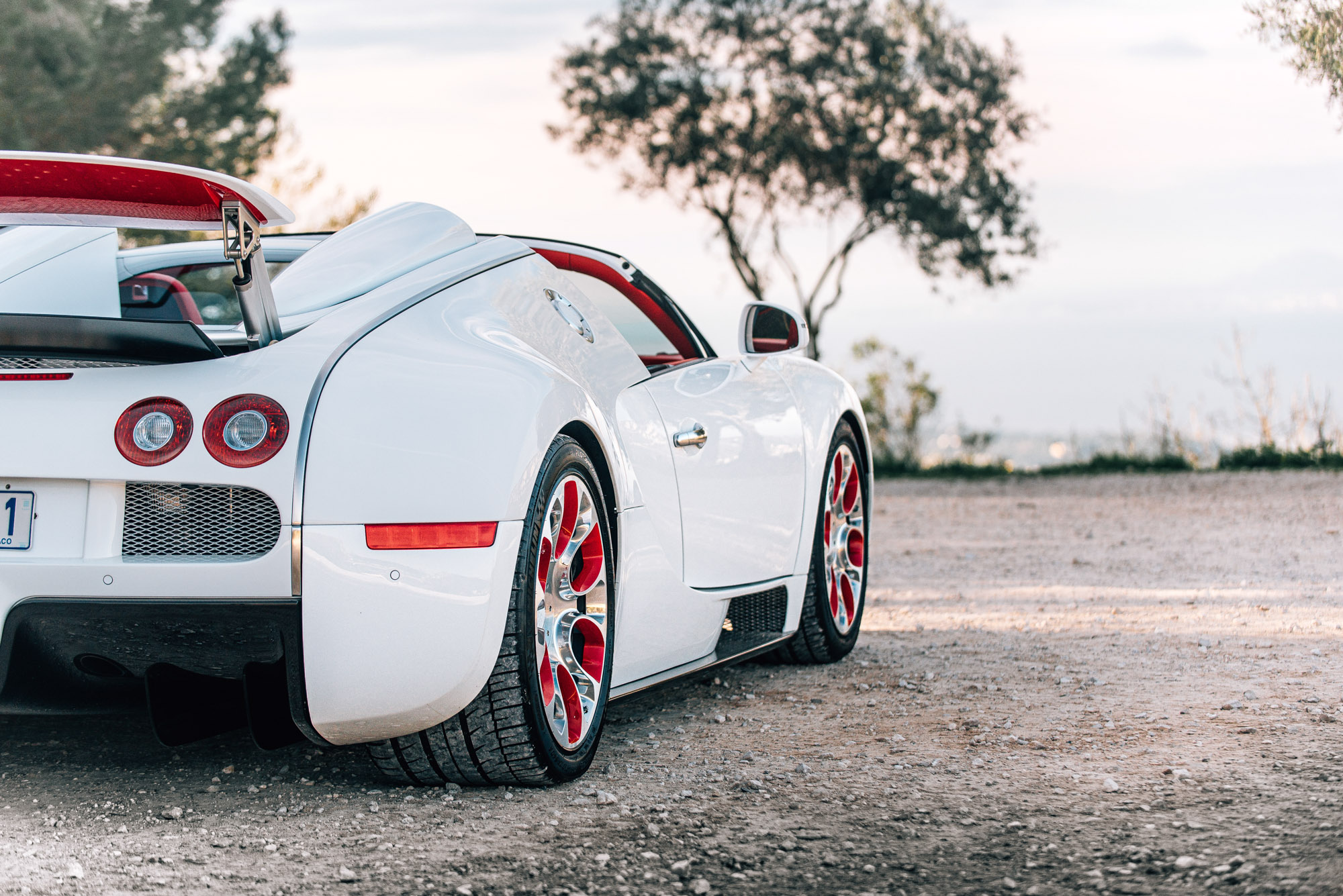 2012 Bugatti Veyron Grand Sport 'Wei Long' - Year of the