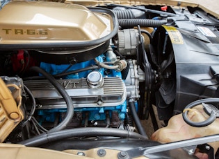 1978 Pontiac Firebird Trans Am Gold Special Edition